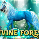 Divine Forest